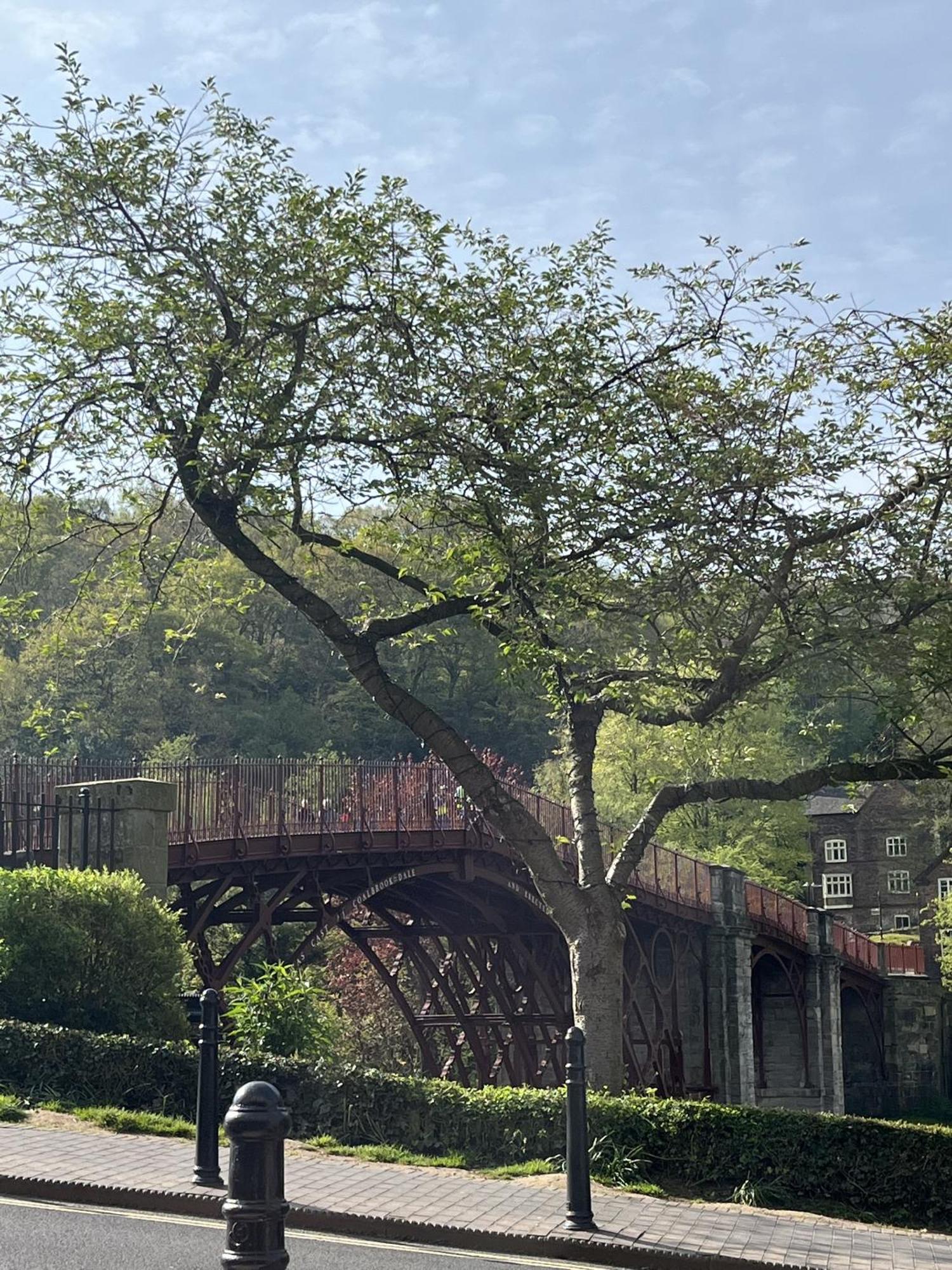 The Tontine Hotel & Bar Ironbridge Buitenkant foto